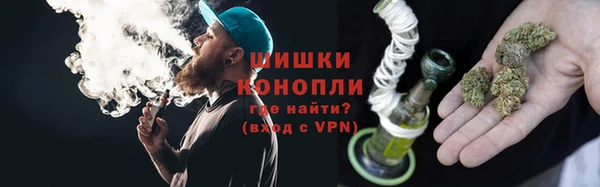 мяу мяу мука Абаза