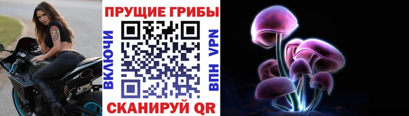MEGA ONION  Власиха  Галлюциногенные грибы мицелий 